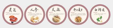 古代中药材简介_源文件下载_CDR格式_2952X738像素-天麻,冬虫夏草,人参-作品编号:2025031117101282-志设-zs9.com