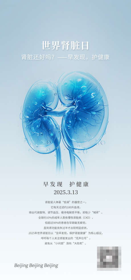 世界肾脏日_源文件下载_PSD格式_1080X2300像素-海报,肾脏日,肾脏-作品编号:2025031117059373-志设-zs9.com