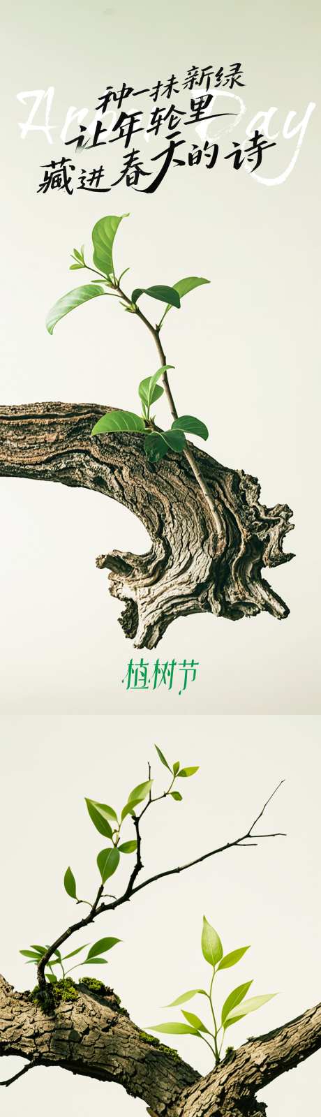 植树节小清新绿色树叶海报_源文件下载_PSD格式_1428X3180像素-海报,树叶,绿色-作品编号:2025031217237599-志设-zs9.com