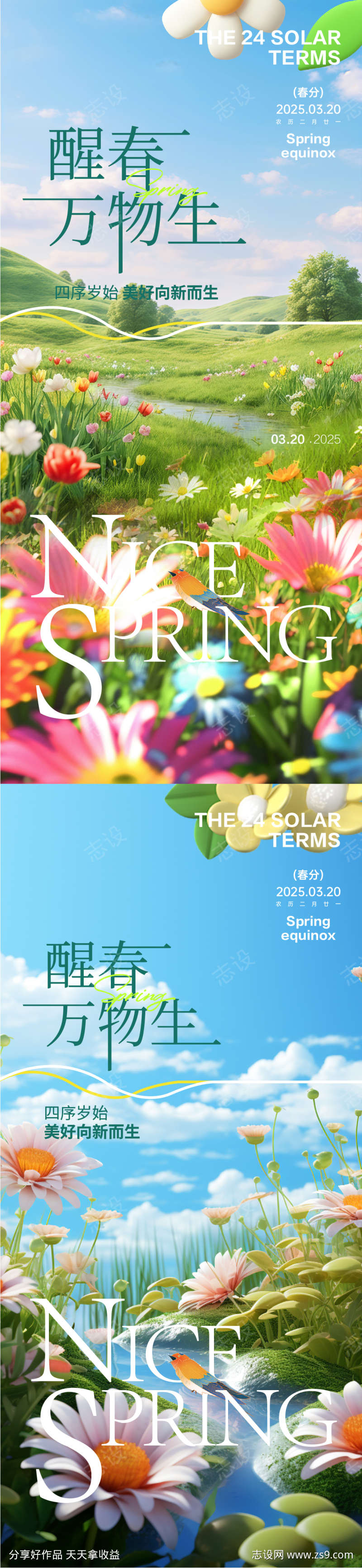 春天春分节气海报