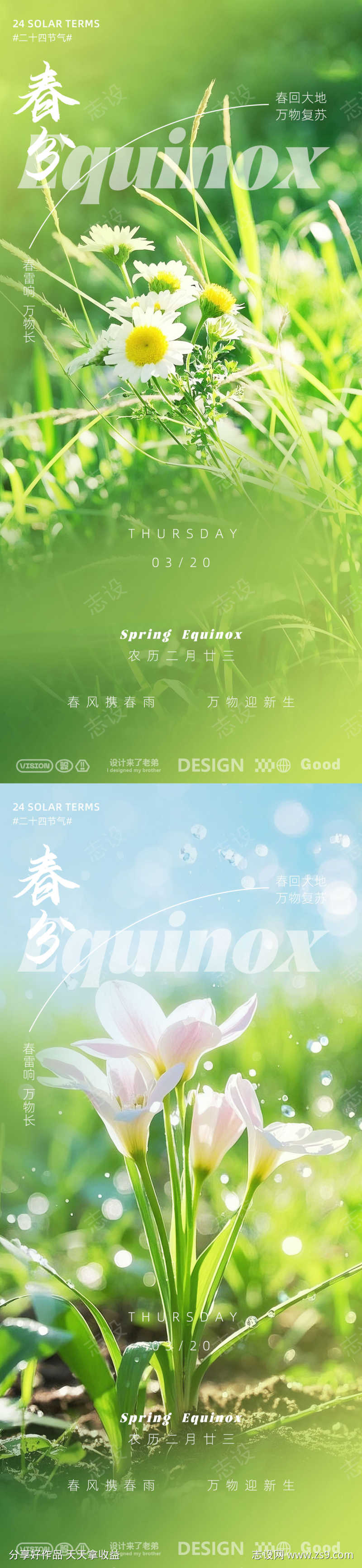 春分设计素材海报