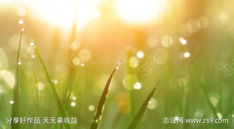 唯美小清新视频