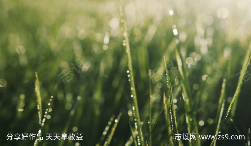 唯美小清新视频