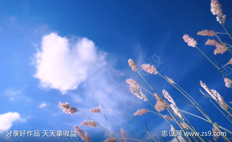 唯美小清新视频