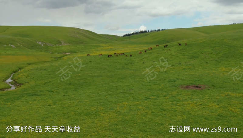 广阔的草原