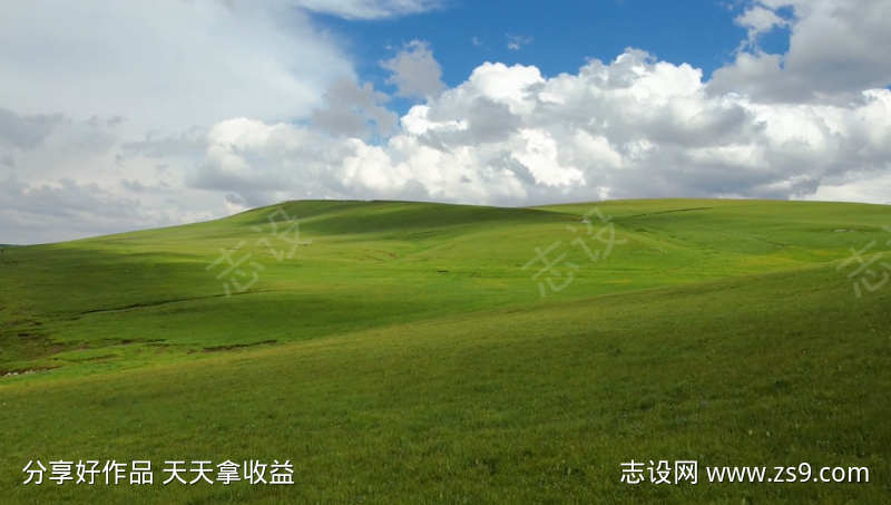 广阔的草原