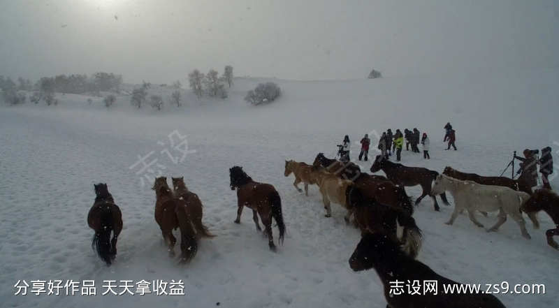 草原风景视频素材