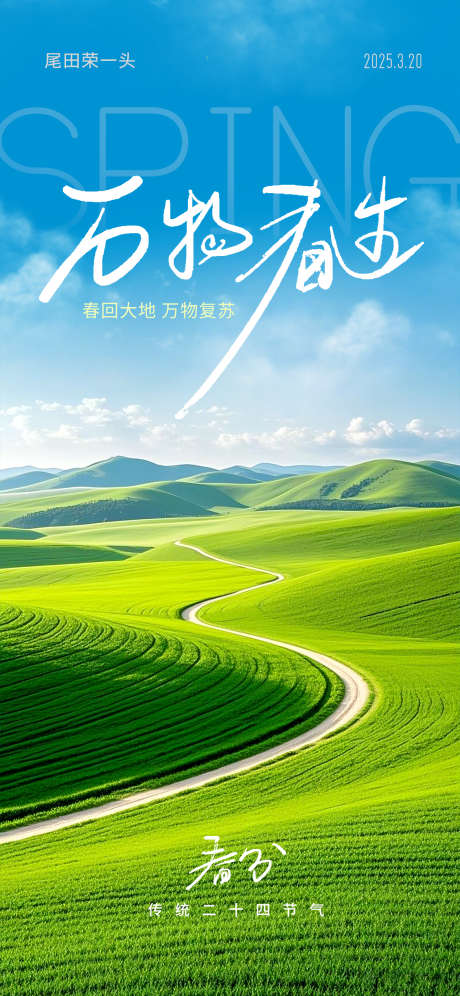 春分节日海报_源文件下载_PSD格式_1125X2436像素-春天,春分,节气-作品编号:2025031314165111-志设-zs9.com
