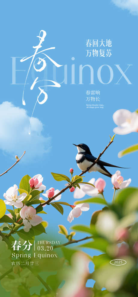 春分节气海报_源文件下载_PSD格式_1181X2539像素-春季,鸟儿,花朵-作品编号:2025031315531673-志设-zs9.com