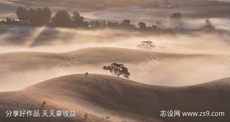 雾气蒙蒙的乡村清晨