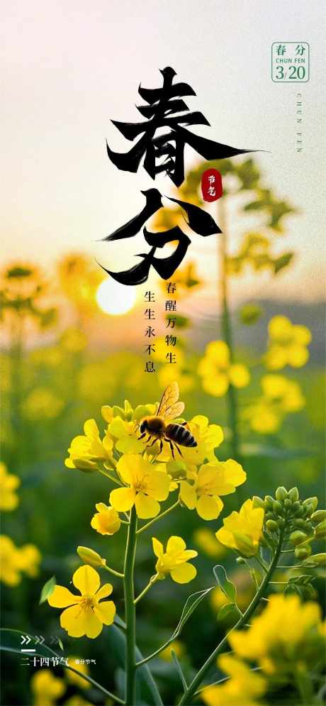 地产医美春分节气_源文件下载_PSD格式_1280X2770像素-节日,春天,春分-作品编号:2025031410107767-志设-zs9.com