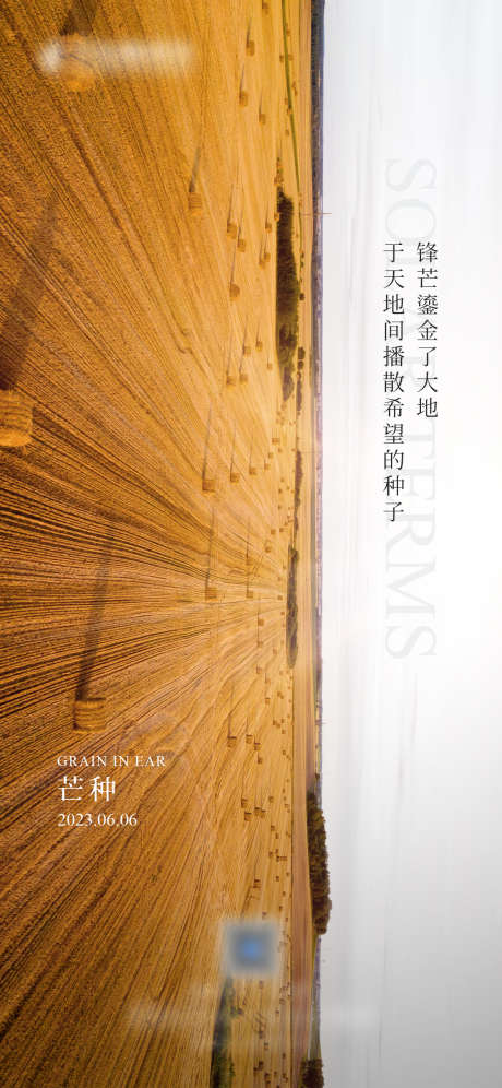 芒种节气海报_源文件下载_PSD格式_1181X2557像素-夏季,收获,节气-作品编号:2025031415511763-志设-zs9.com