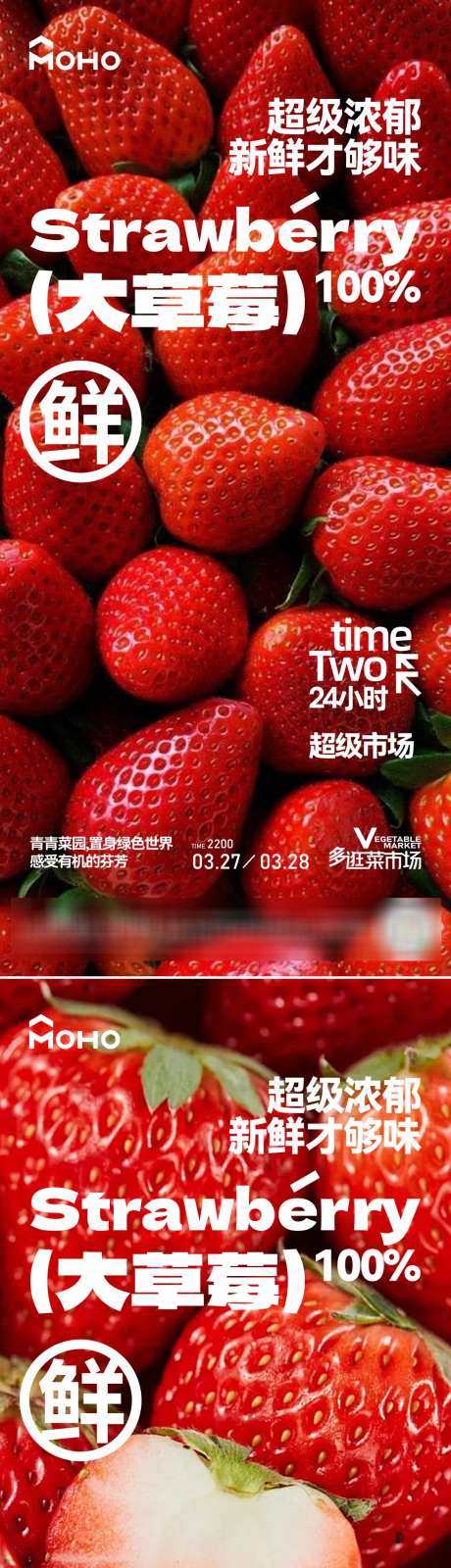草莓蔬果海报_源文件下载_PSD格式_1080X4684像素-农家乐,菜园,促销-作品编号:2025031616181623-志设-zs9.com