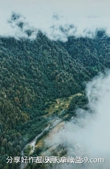 苍翠繁茂的森林山脉鸟瞰图