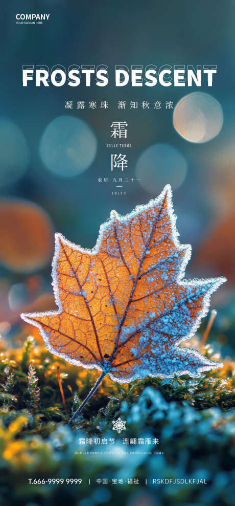 霜降节气海报_源文件下载_PSD格式_1000X2150像素-霜降,节气,秋天-作品编号:2025031714312182-志设-zs9.com