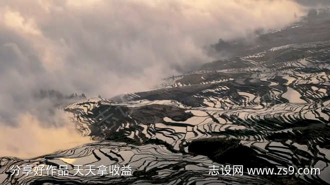 梯田清晨震撼云海景观
