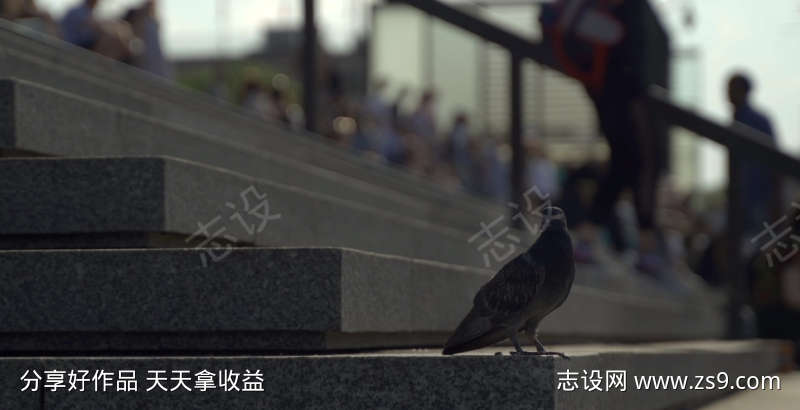 -设计导航-shejidh.cn