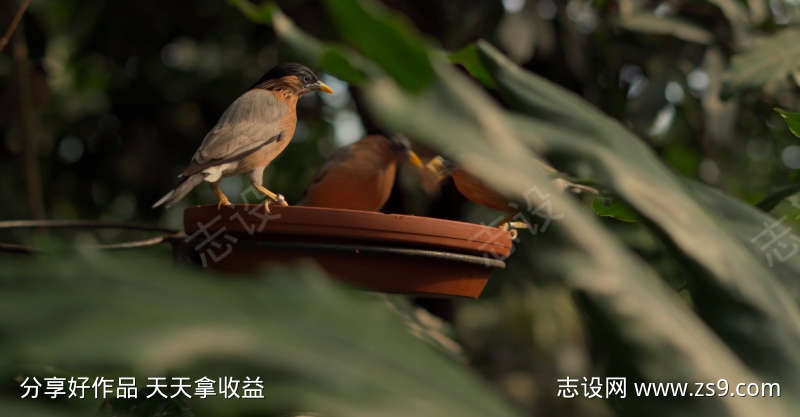 -设计导航-shejidh.cn