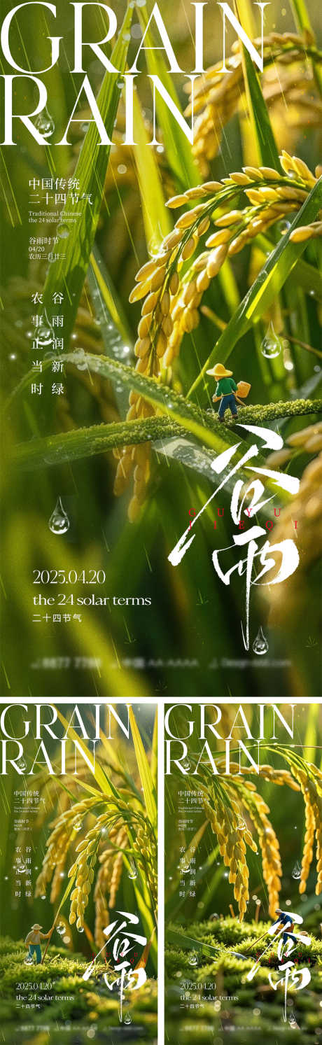 谷雨节气宣传海报_源文件下载_PSD格式_1000X3245像素-稻谷,竹子,谷雨-作品编号:2025031916432564-志设-zs9.com