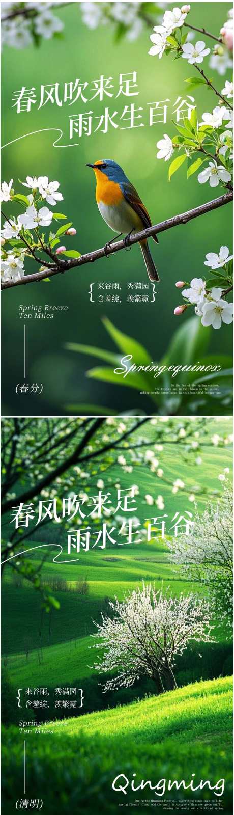 春分清明传统节日海报_源文件下载_PSD格式_2160X7680像素-节气,海报,清明-作品编号:2025032008397846-志设-zs9.com