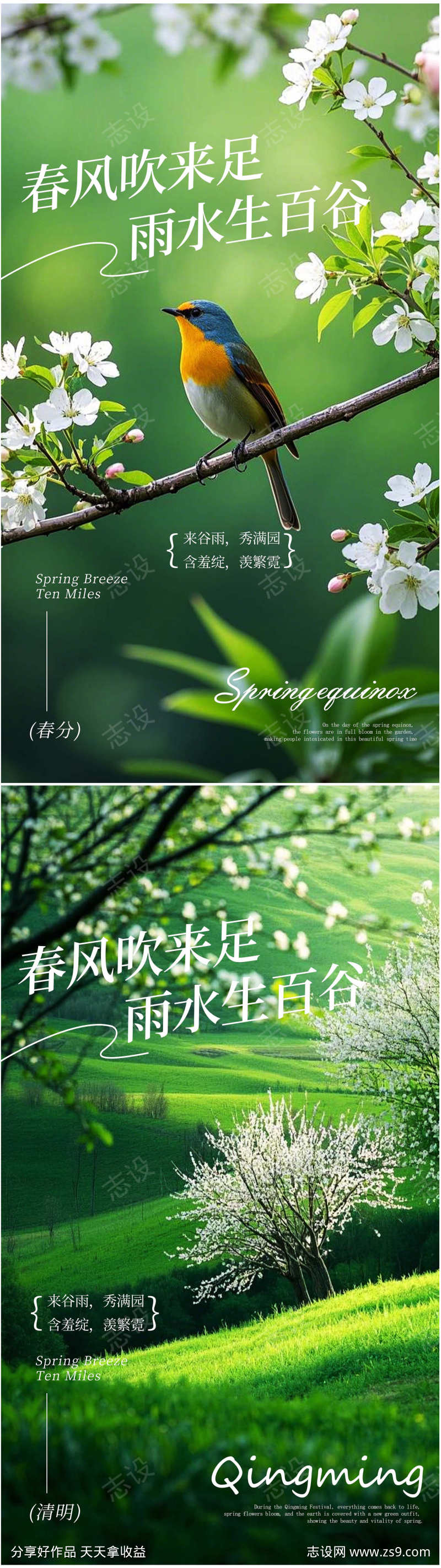 春分清明传统节日海报