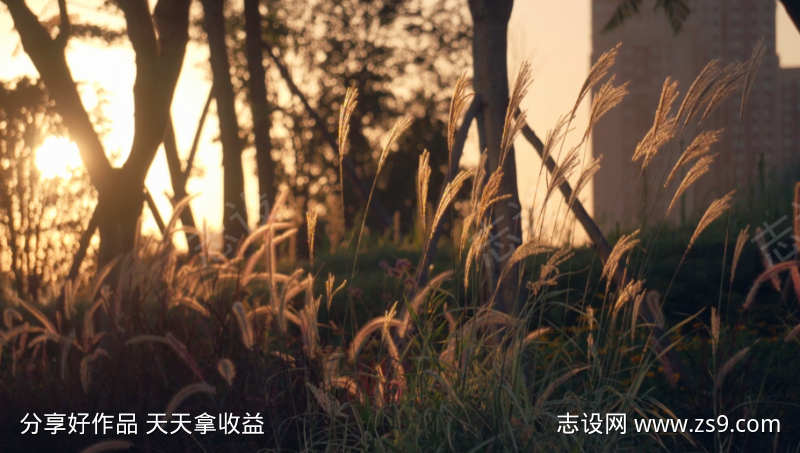 清新自然风景视频
