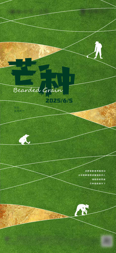 芒种节气海报_源文件下载_PSD格式_1181X2557像素-简洁,简约,纹理-作品编号:2025032114476996-志设-zs9.com