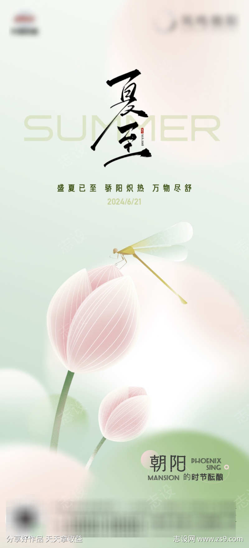 地产节气立夏夏至荷花蜻蜓插画海报