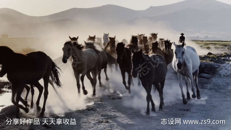 牧场生活牛仔牧马