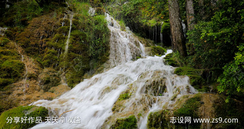山林山上流水