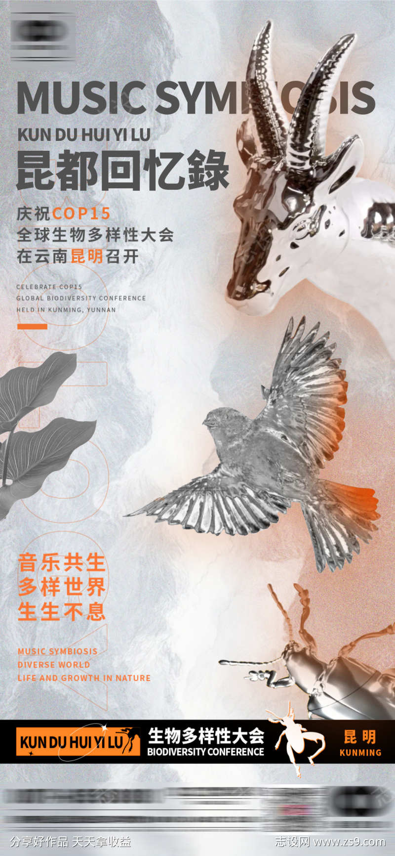 音乐回忆录