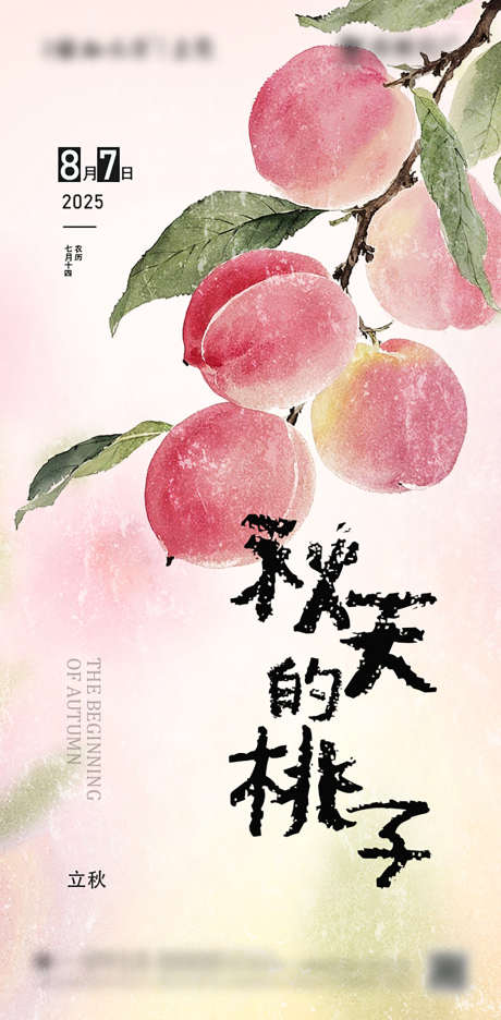 立秋吃桃节气海报_源文件下载_PSD格式_603X1227像素-果实,秋桃,简约-作品编号:2025032510486411-志设-zs9.com