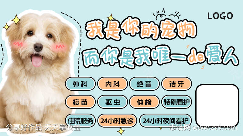 宠物医院banner
