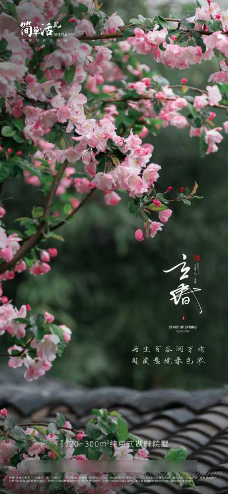 房地产立春_源文件下载_PSD格式_1080X2341像素-春天,立春,房地产-作品编号:2025032616247922-志设-zs9.com