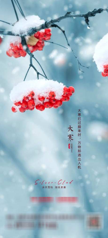 大寒节气海报_源文件下载_PSD格式_1080X2367像素-海报,节气,大寒-作品编号:2025032611176737-志设-zs9.com