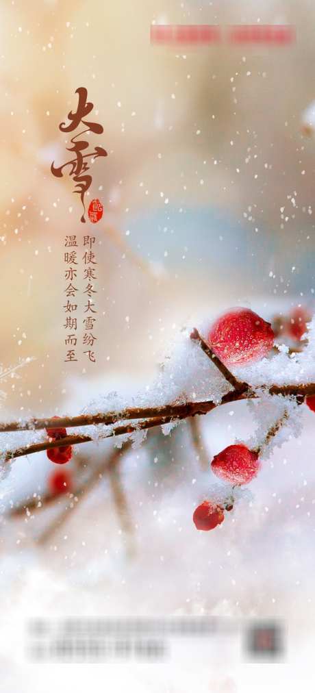 大雪节气海报_源文件下载_PSD格式_1000X2200像素-海报,节气,大雪-作品编号:2025032611217942-志设-zs9.com