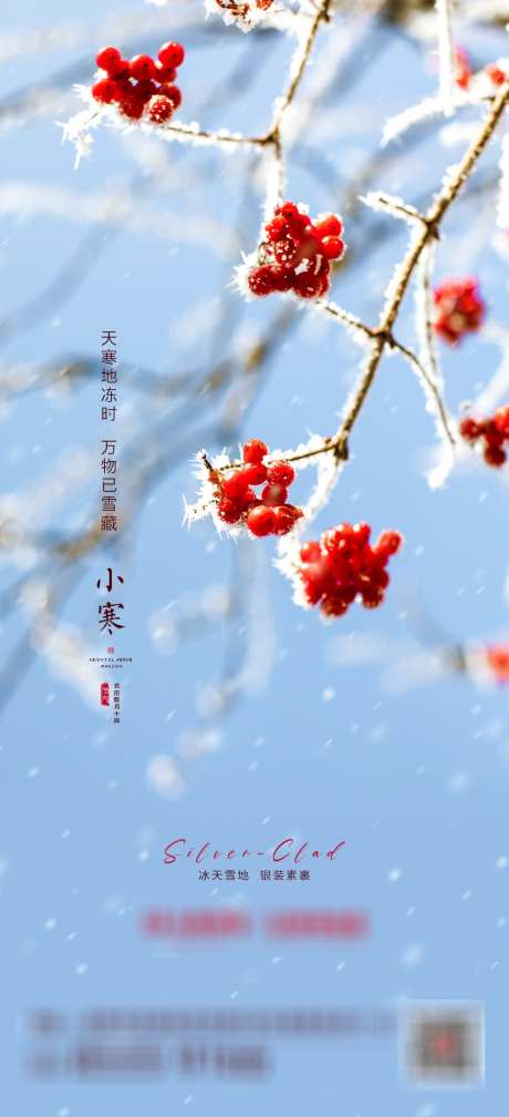 小寒节气海报_源文件下载_PSD格式_1080X2367像素-海报,节气,小寒-作品编号:2025032611234546-志设-zs9.com