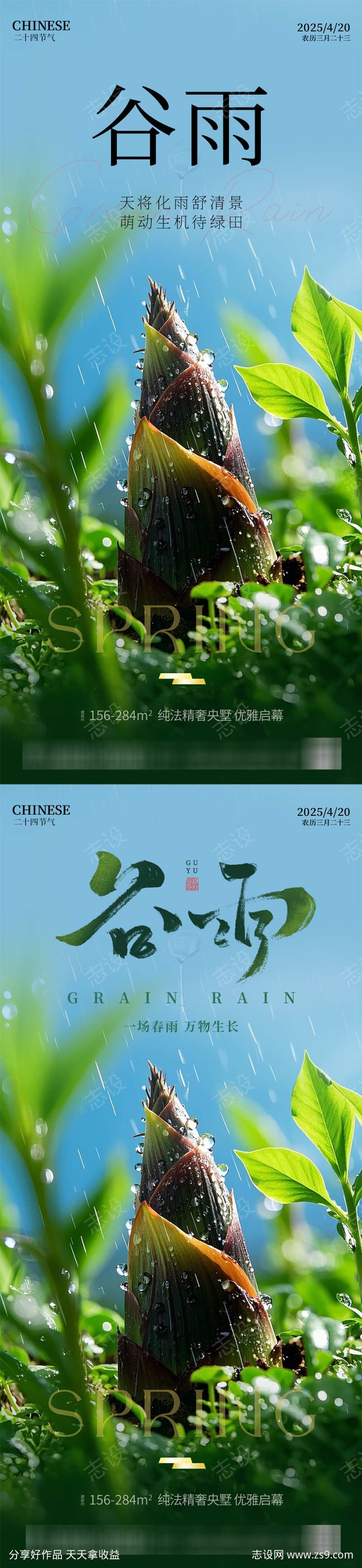 谷雨节气海报