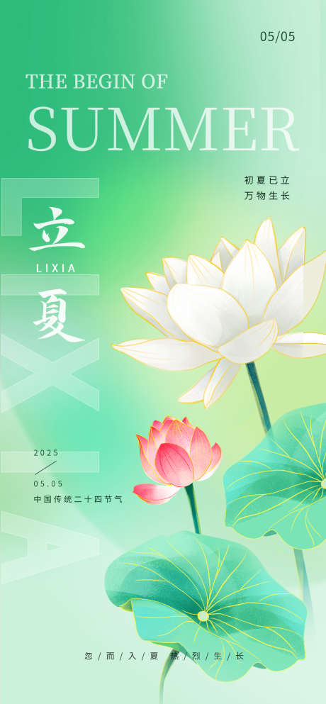 夏天立夏荷花清新优雅海报_源文件下载_PSD格式_1260X2720像素-立夏,荷花,清新-作品编号:2025032910598259-志设-zs9.com