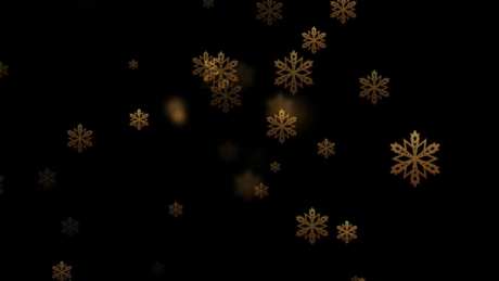 金色雪花粒子特效_视频素材下载_MOV格式_3840X2160像素-粒子特效,雪花,金色-作品编号:2025033013243543-志设-zs9.com