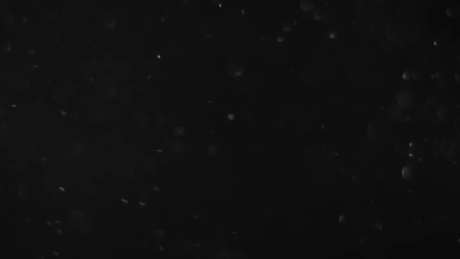 风中雪花特效_视频素材下载_MOV格式_1920X1080像素-雪花,风中,儿童卡通-作品编号:2025033013265560-志设-zs9.com