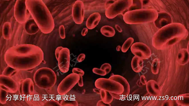 血红细胞进入人体