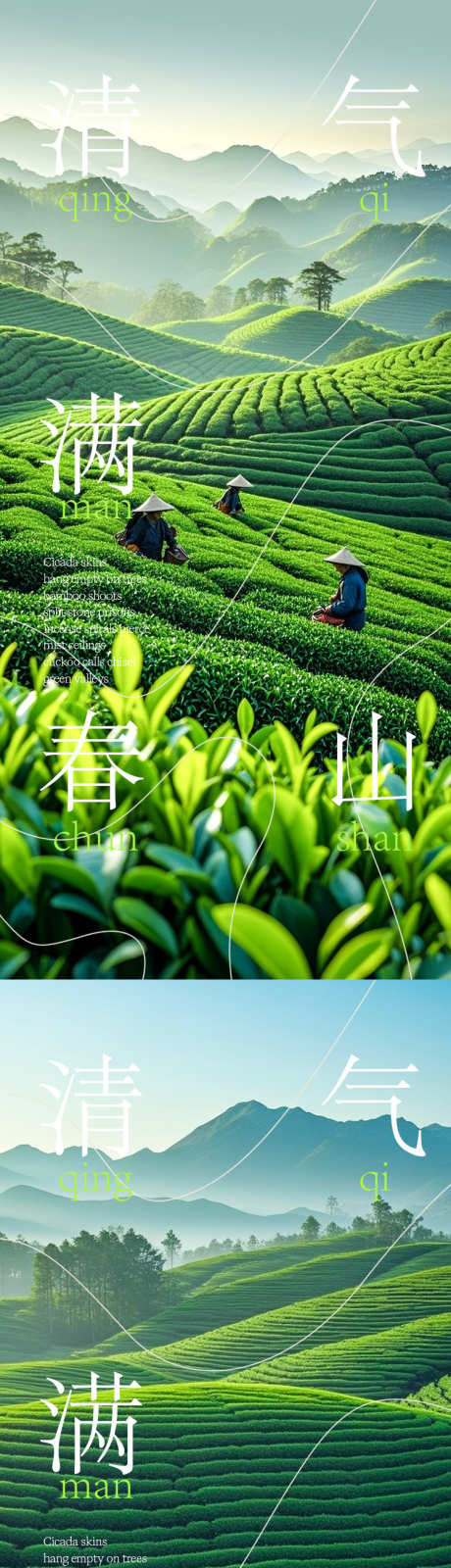清明节气移动端海报_源文件下载_PSD格式_750X3260像素-意境,茶山,风景-作品编号:2025033111516124-志设-zs9.com