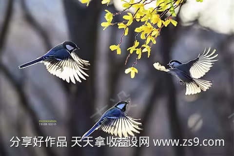 -设计导航-shejidh.cn