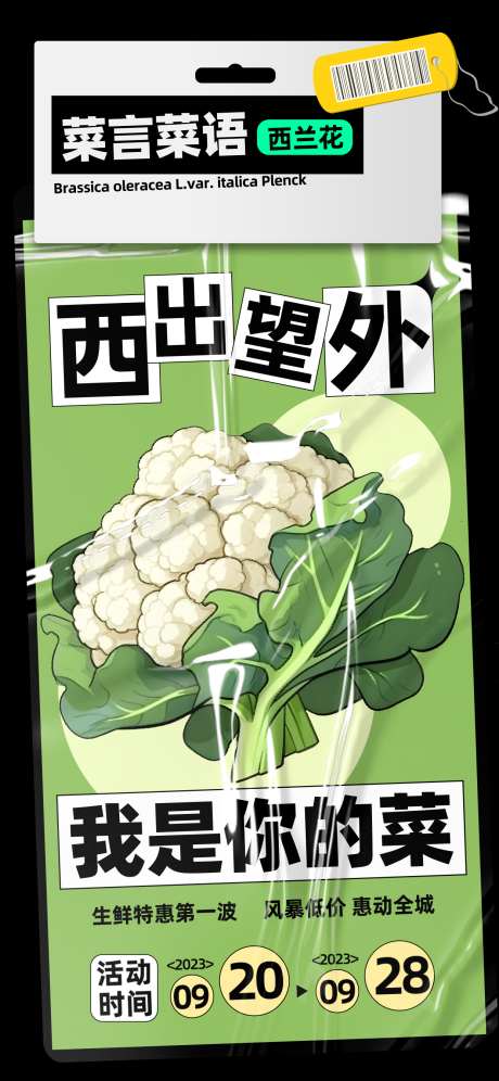 网络热梗优惠购物谐音梗海报_源文件下载_PSD格式_1242X2688像素-创意,谐音,西蓝花-作品编号:2025040116118724-志设-zs9.com