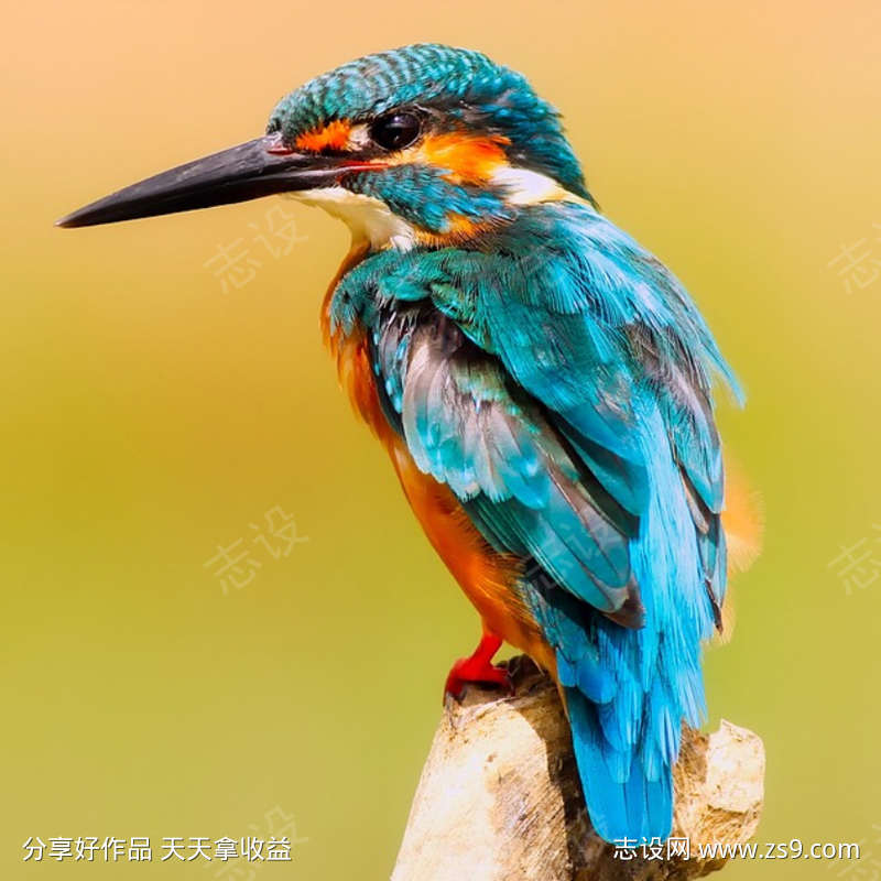 超级放松的音乐让心灵平静