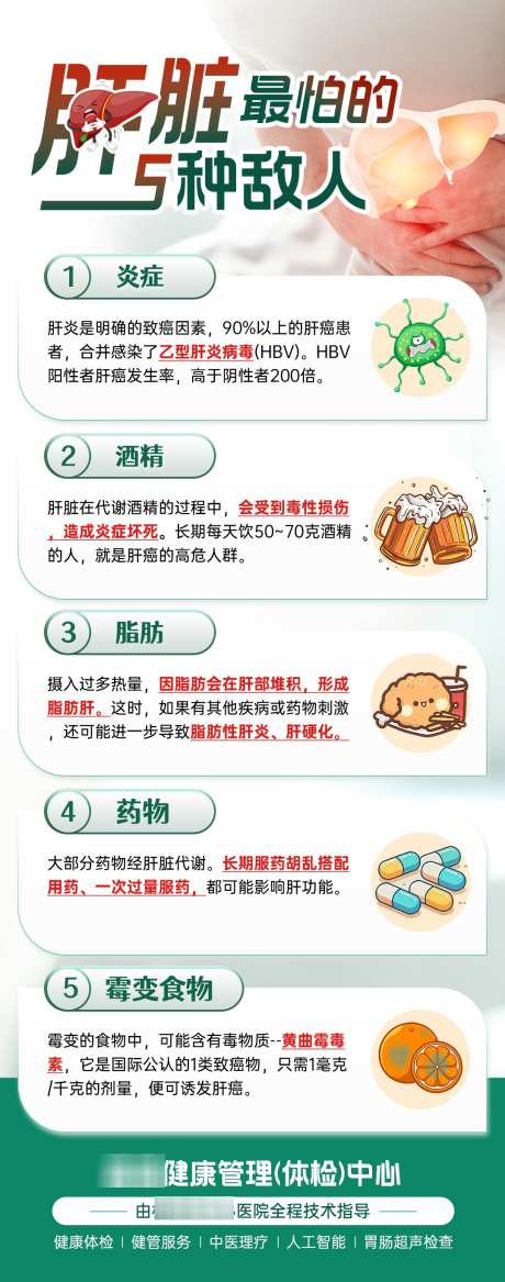 肝脏医疗科普_源文件下载_PSD格式_1080X2740像素-科普,知识,医疗-作品编号:2025040214579165-志设-zs9.com
