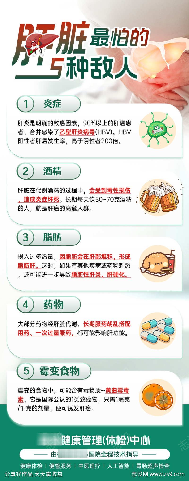 肝脏医疗科普