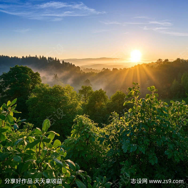 森林的曙光感鸟叫环境声
