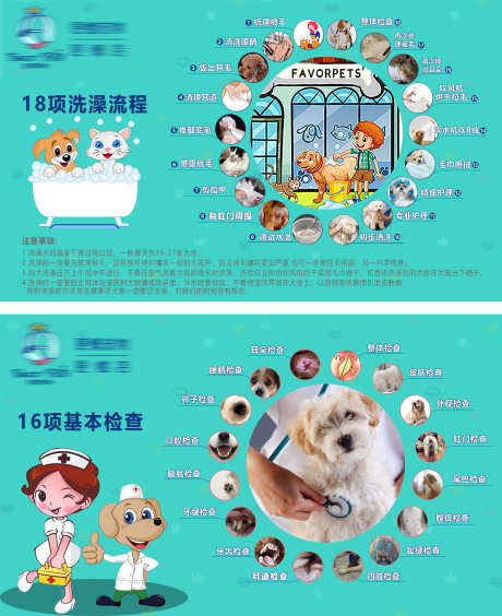 宠物主画面_源文件下载_PSD格式_2927X3586像素-小狗,检查,动物-作品编号:2025040913482056-志设-zs9.com